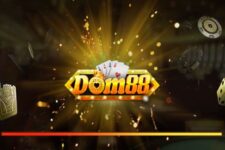 Dom88 Club – Cổng game bài vip nhất mùa hè 2022