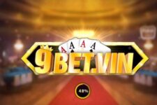 9Bet Vin- Đổi thưởng chất chơi, nhận tiền phút mốt