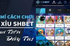 Game tài xỉu vip SHBET liệu có dễ chơi, dễ trúng như lời đồn